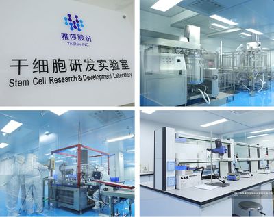 母乳協(xié)會(huì)&超人媽媽 創(chuàng)始人蒞臨雅莎園區(qū),“空降”雅思專場直播